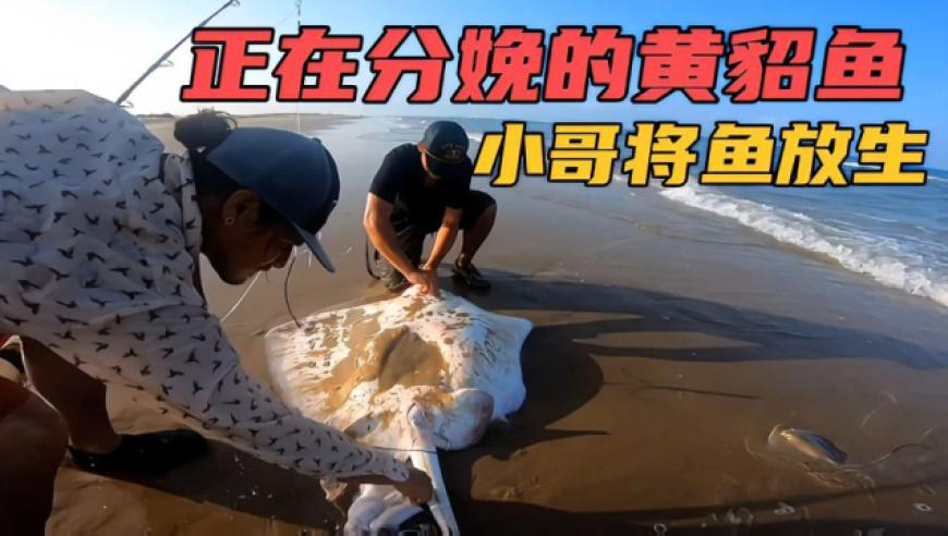 2025新澳管家婆正版资,桑延桑稚兄妹日常互怼,完美答案解释落实_正式版V5.28