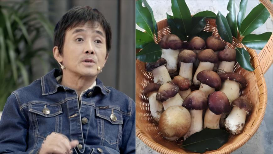 84995澳门论坛资料大全开奖一,无量仙翁爆改肌肉猛男突然合理了,最新答案解释落实_豪华版V8.8