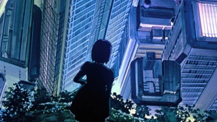 澳门码开奖结果+开奖结果2025年开奖记录,imp向Rookie道歉,详细释义解释落实_钻石版V10.48