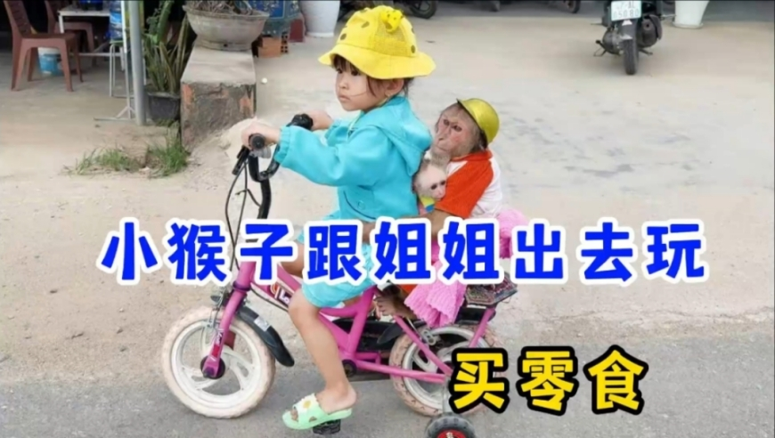管家婆一码一肖技巧分享,年轻人不喜欢交个人养老金怎么办,广泛的解释落实支持计划_影像版V12.80